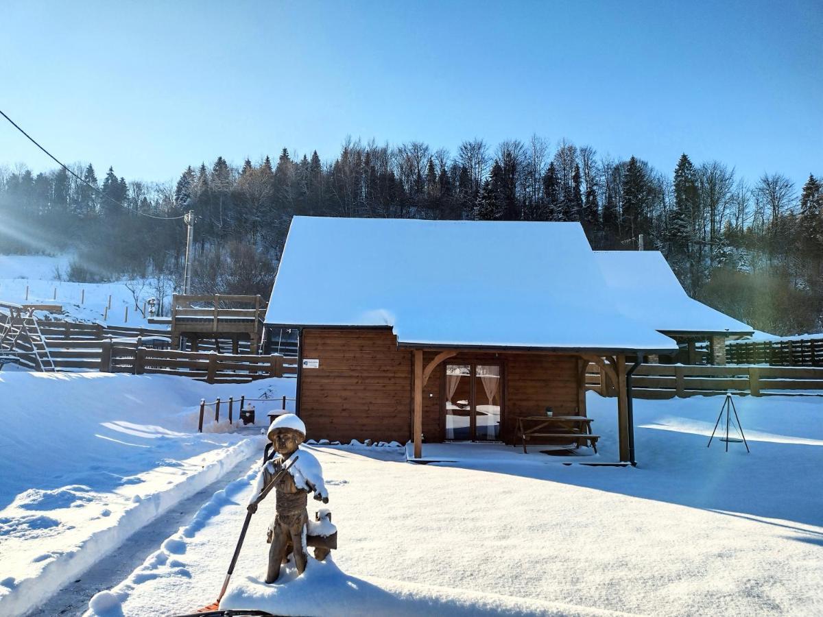 Domek Na Berechu Domek W Gorach-Pieniny Villa Szlachtowa Ngoại thất bức ảnh